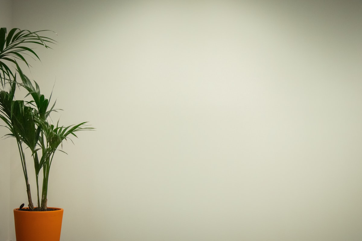 Líneas de conexiones luminosas sobre fondo oscuro representando red de servicios